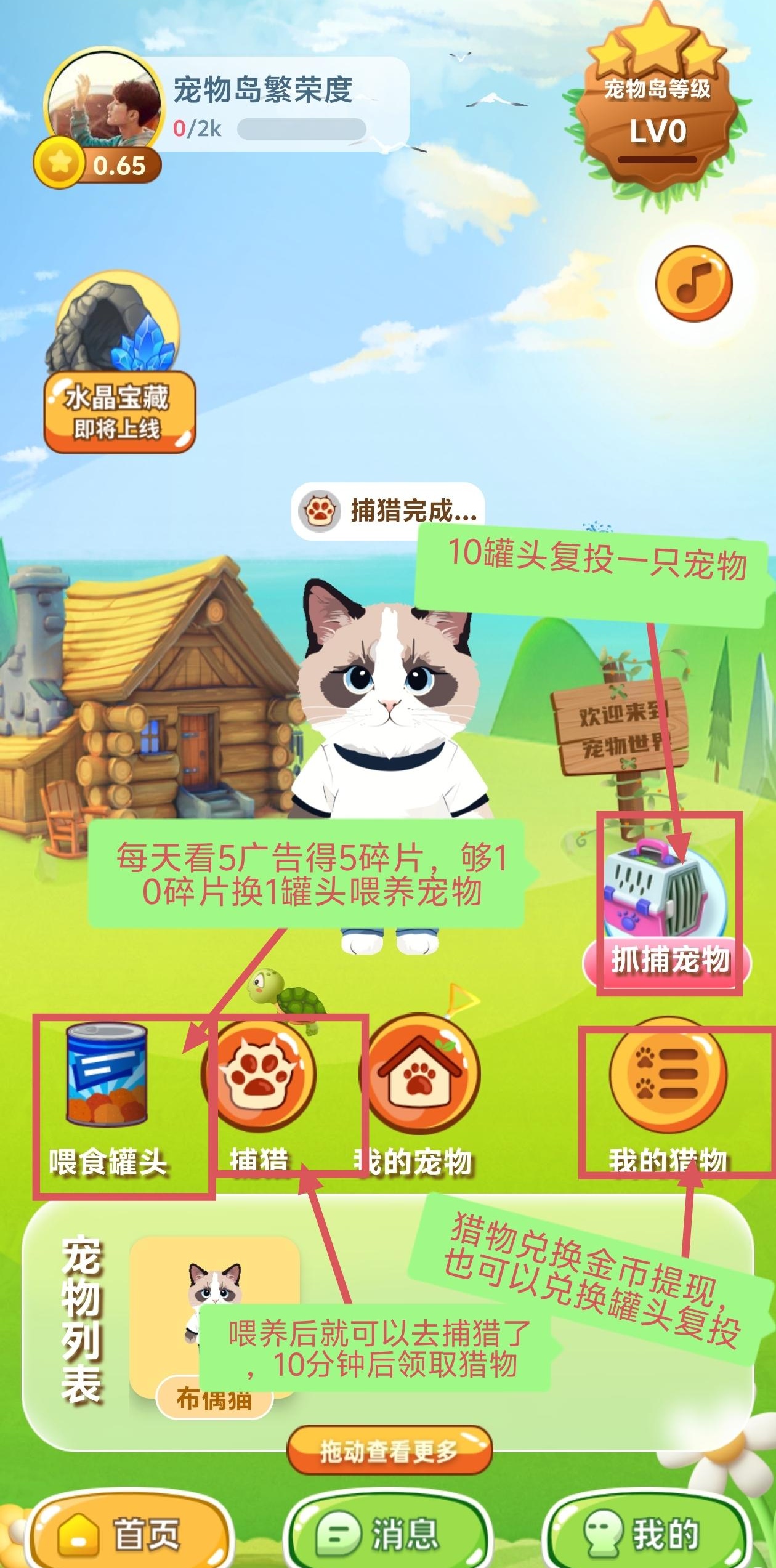 宠物世界，可撸可投，秒提秒到