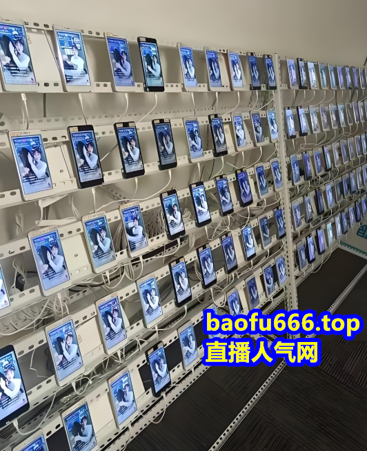 ​​抖音直播挂人气快速提升观众变现小红书视频号快手点赞有效粉丝黑科技神器软件网站
