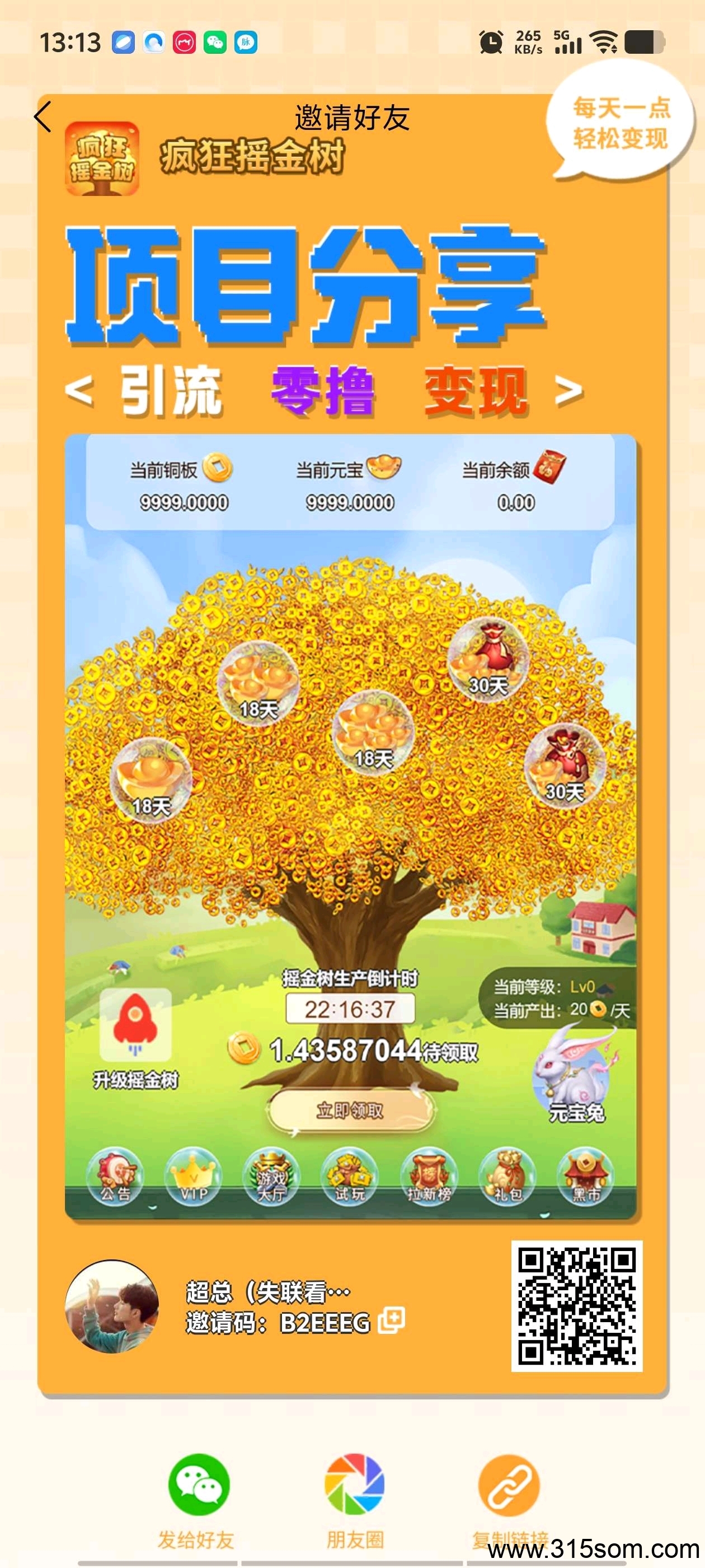 首码疯狂摇金树，刚上线抓紧上车