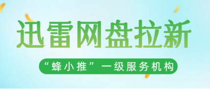 蜂小推，资源巧运用！迅雷网盘推广效果看得见